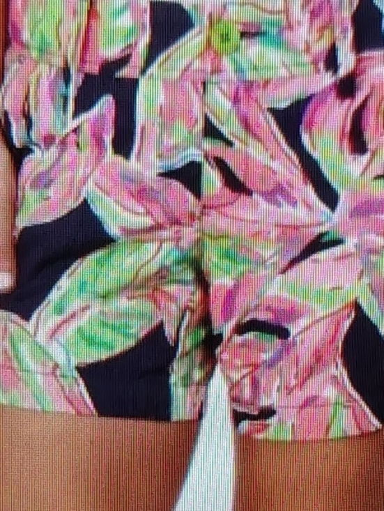 Lilly Pulitzer Pants - Lilly Pulitzer Callahan Shorts Vias Palmetto Leaf Navy, Pink & Lime Splash Sz 6